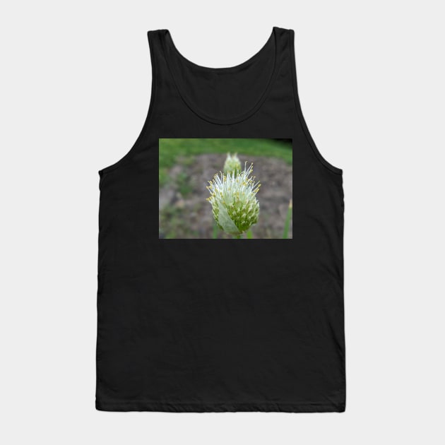 Green Onion Blossom 3 Tank Top by AustaArt